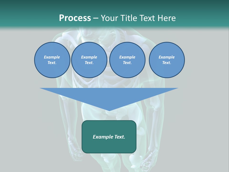 Education Graphic Medicine PowerPoint Template