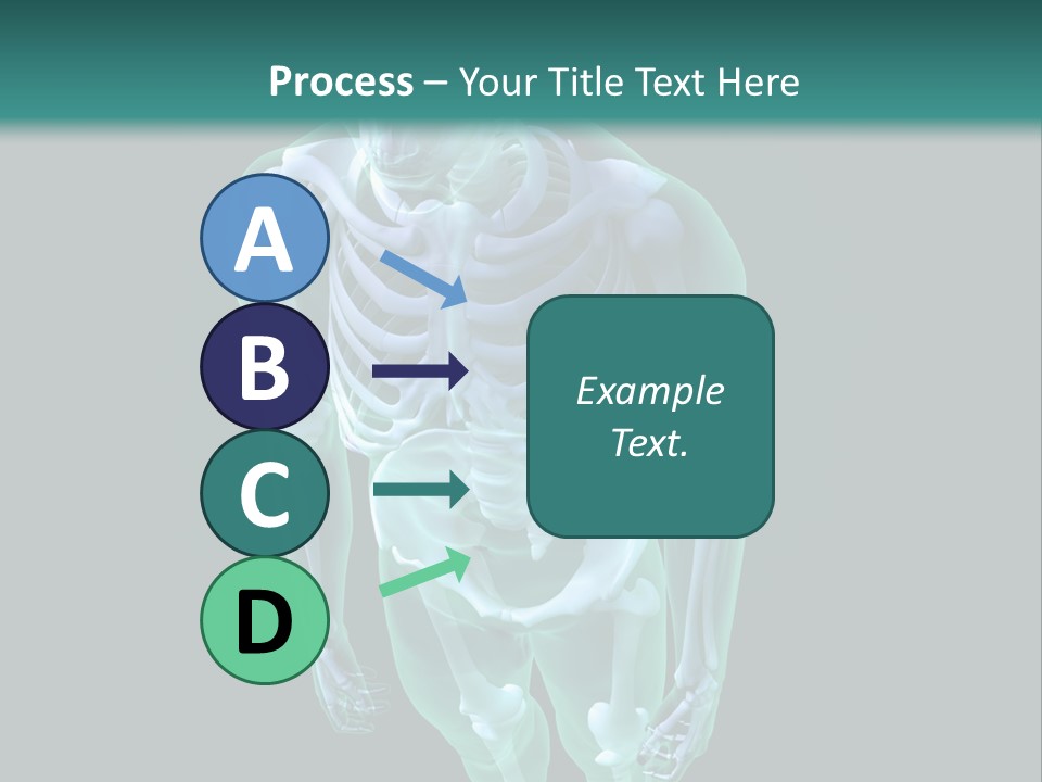 Education Graphic Medicine PowerPoint Template