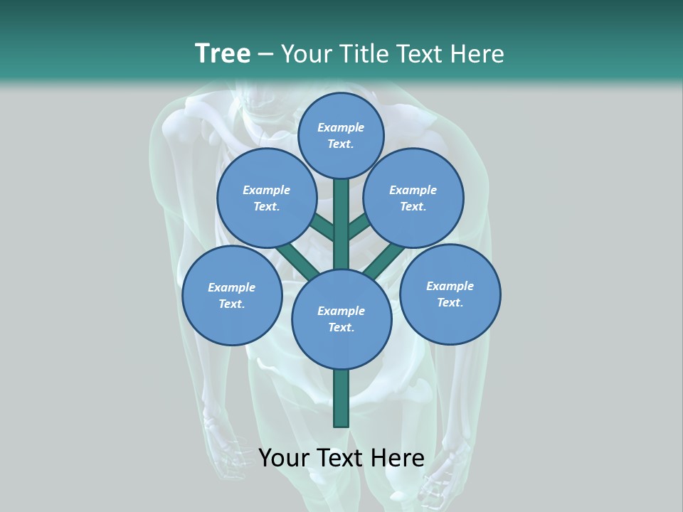 Education Graphic Medicine PowerPoint Template