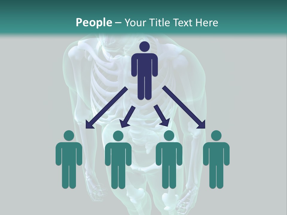 Education Graphic Medicine PowerPoint Template