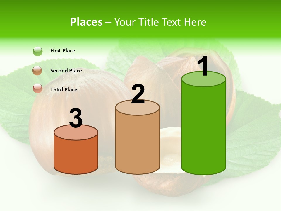 Shell Squirrel Background PowerPoint Template