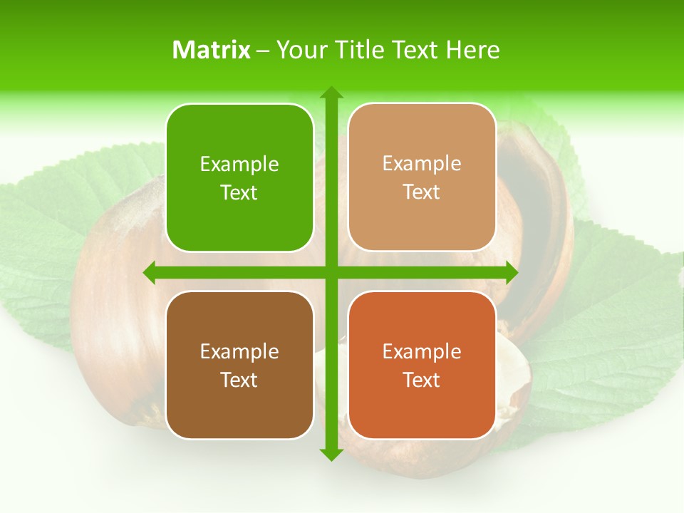 Shell Squirrel Background PowerPoint Template