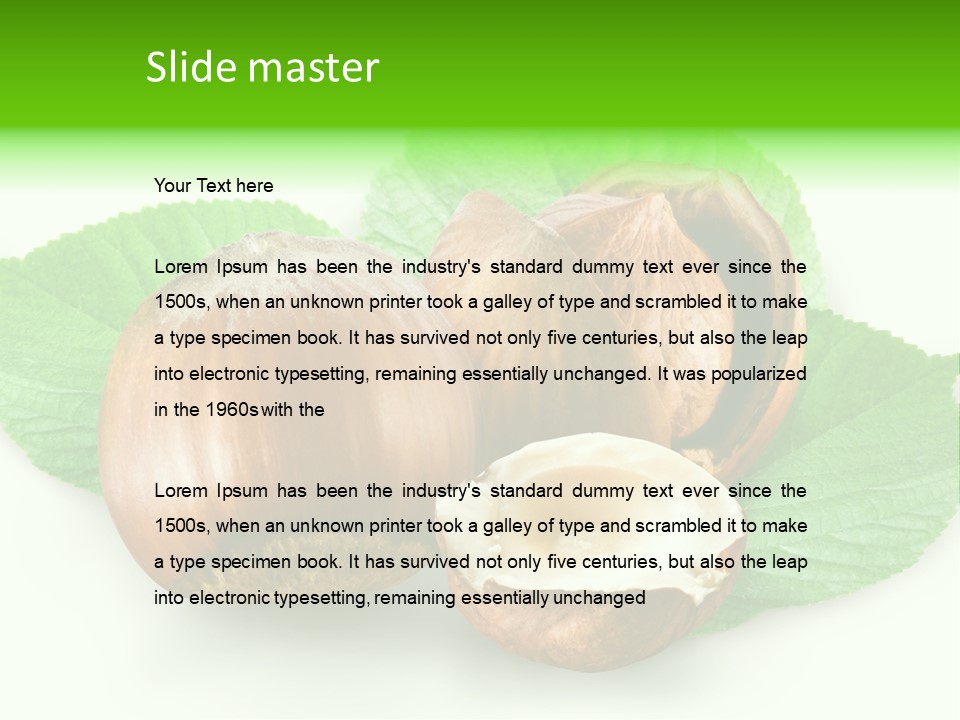 Shell Squirrel Background PowerPoint Template