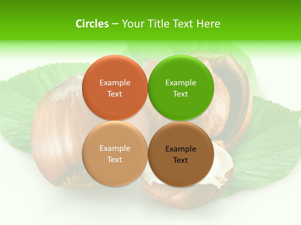 Shell Squirrel Background PowerPoint Template