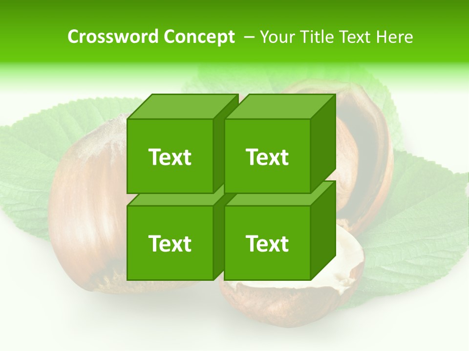 Shell Squirrel Background PowerPoint Template