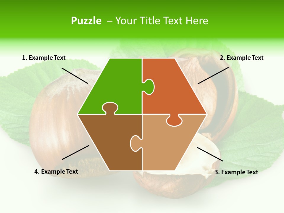 Shell Squirrel Background PowerPoint Template