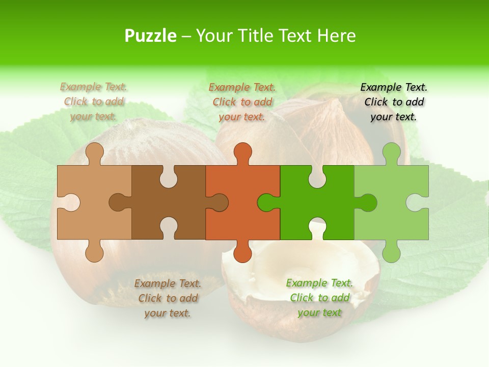 Shell Squirrel Background PowerPoint Template