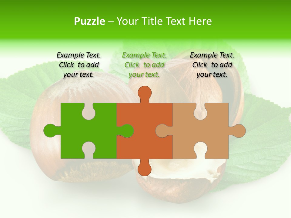 Shell Squirrel Background PowerPoint Template