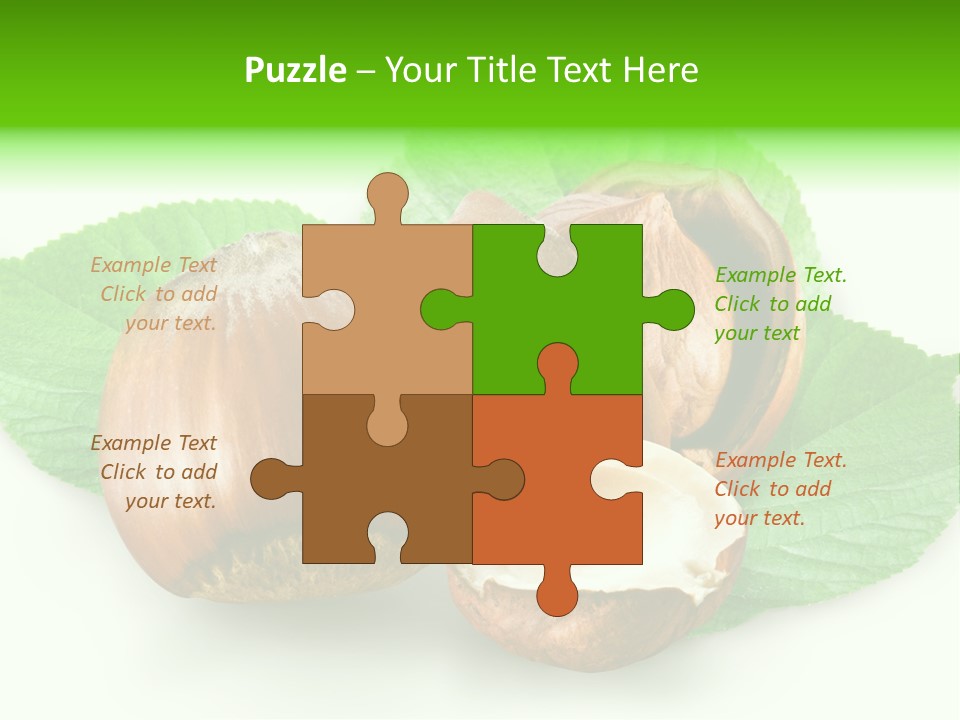 Shell Squirrel Background PowerPoint Template