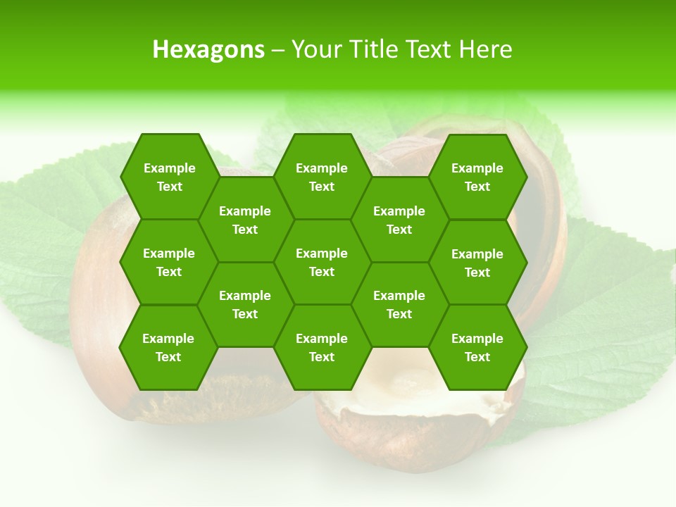 Shell Squirrel Background PowerPoint Template