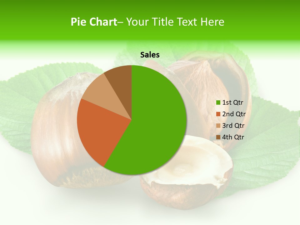 Shell Squirrel Background PowerPoint Template