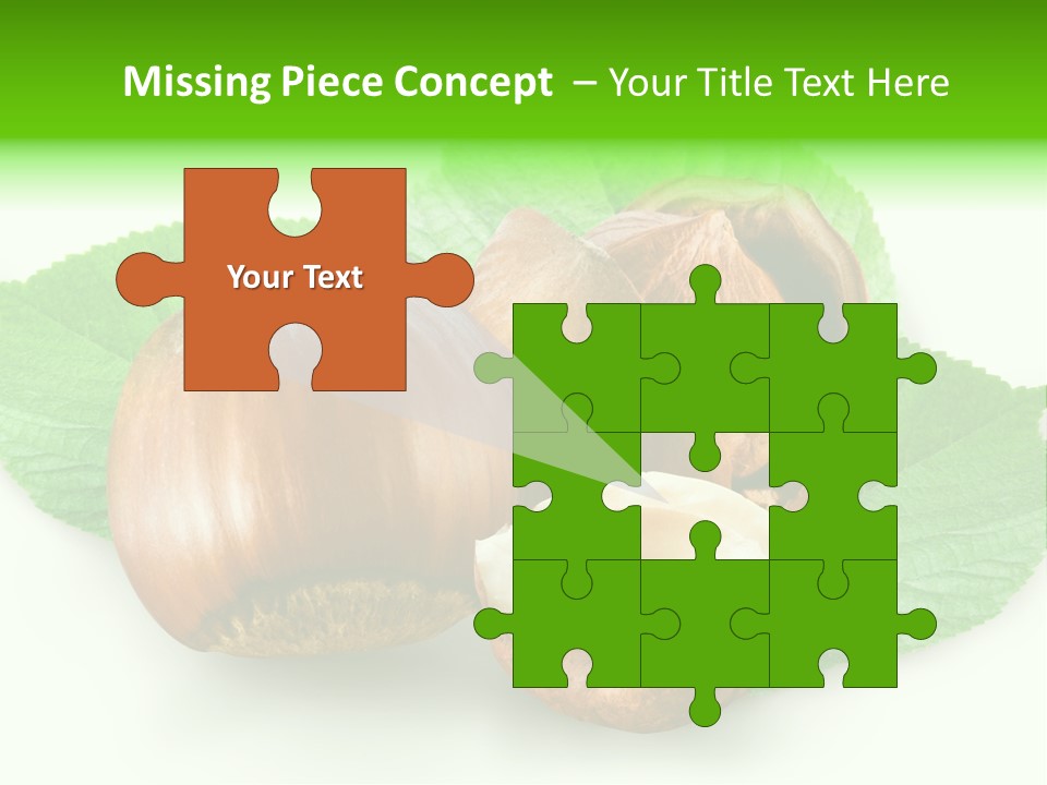 Shell Squirrel Background PowerPoint Template