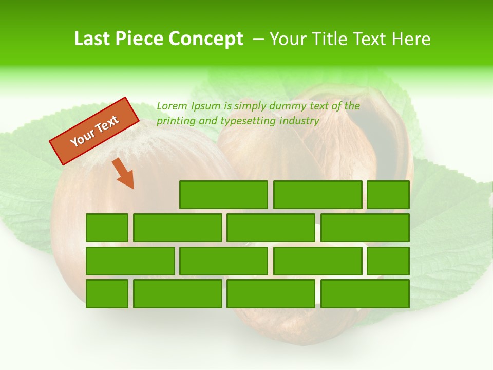 Shell Squirrel Background PowerPoint Template