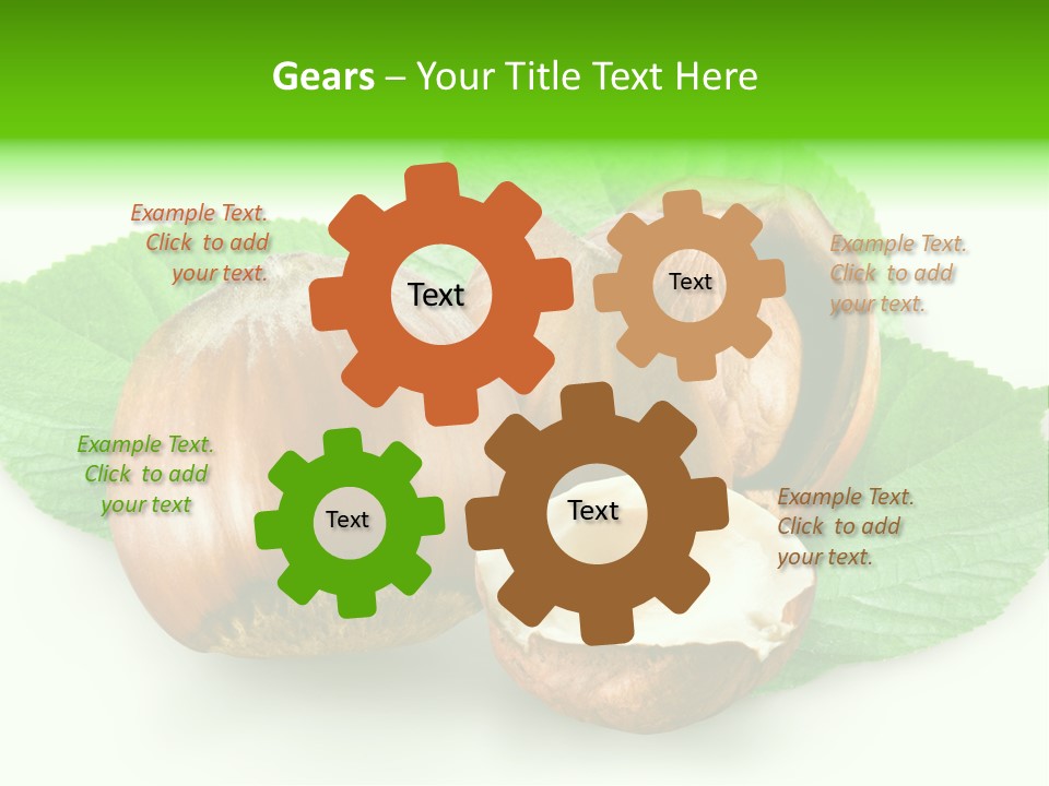 Shell Squirrel Background PowerPoint Template