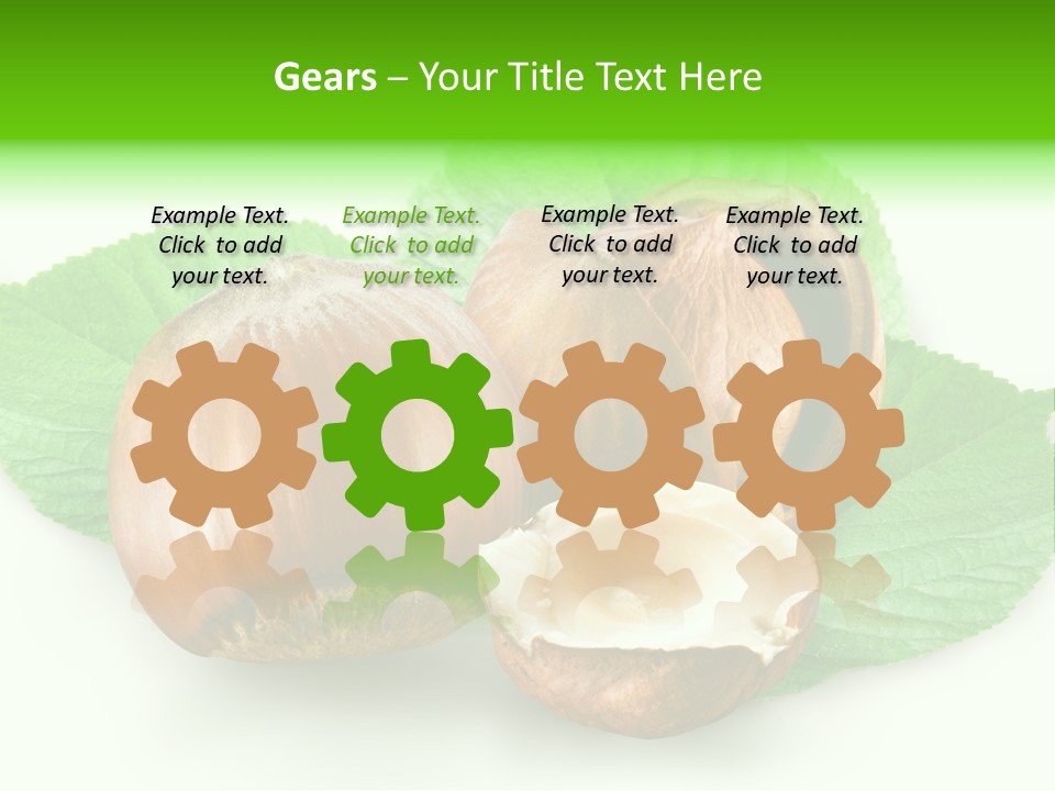 Shell Squirrel Background PowerPoint Template