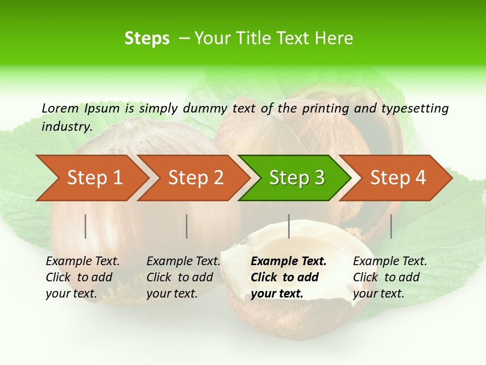Shell Squirrel Background PowerPoint Template