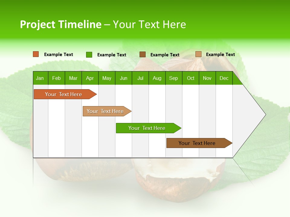 Shell Squirrel Background PowerPoint Template