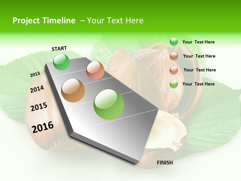 Shell Squirrel Background PowerPoint Template