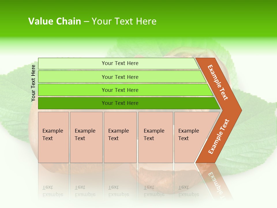 Shell Squirrel Background PowerPoint Template