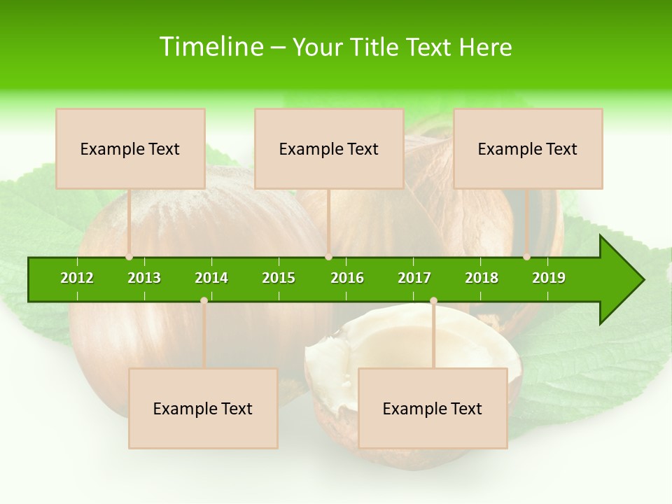 Shell Squirrel Background PowerPoint Template