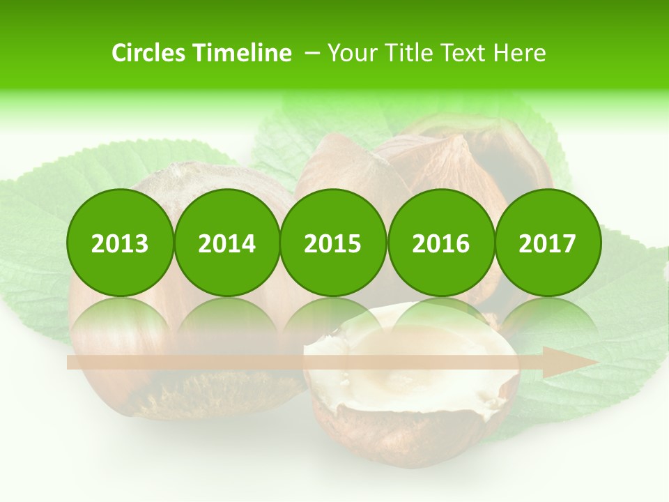 Shell Squirrel Background PowerPoint Template