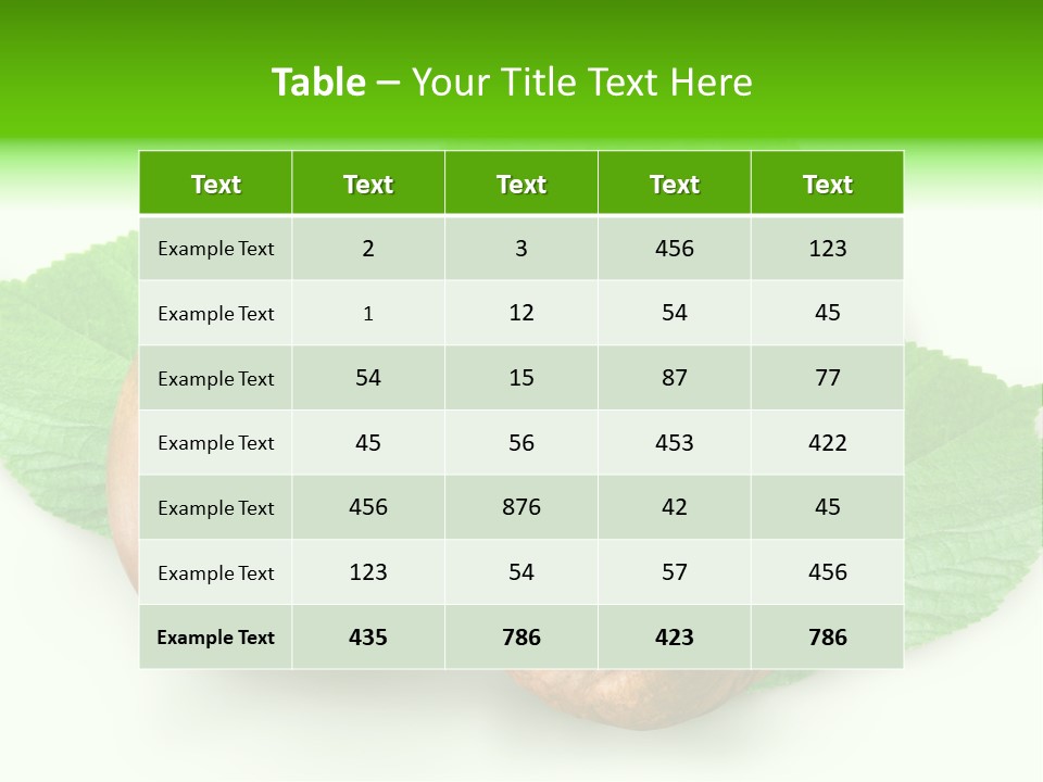 Shell Squirrel Background PowerPoint Template