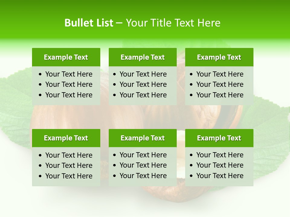 Shell Squirrel Background PowerPoint Template