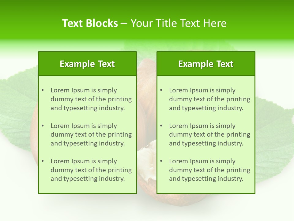 Shell Squirrel Background PowerPoint Template