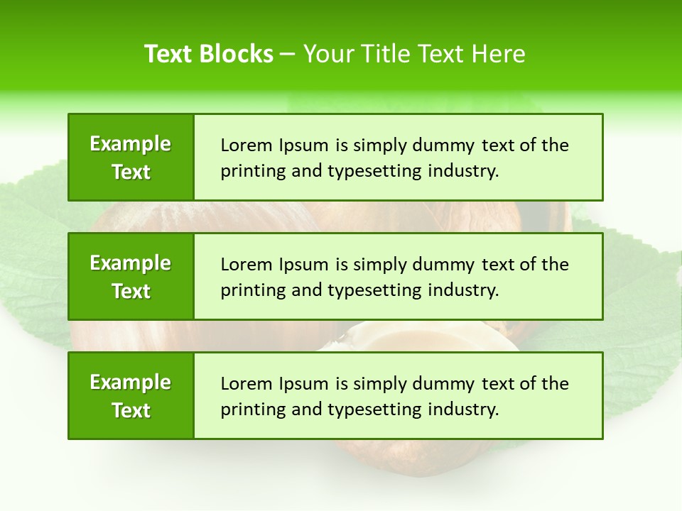 Shell Squirrel Background PowerPoint Template