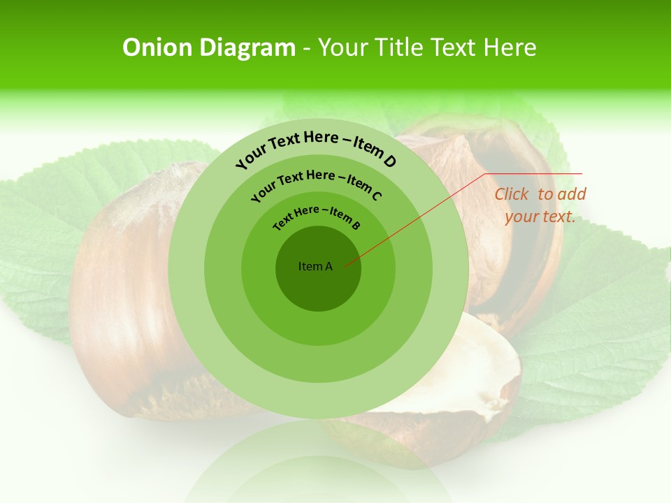 Shell Squirrel Background PowerPoint Template