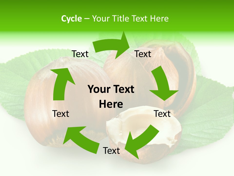 Shell Squirrel Background PowerPoint Template