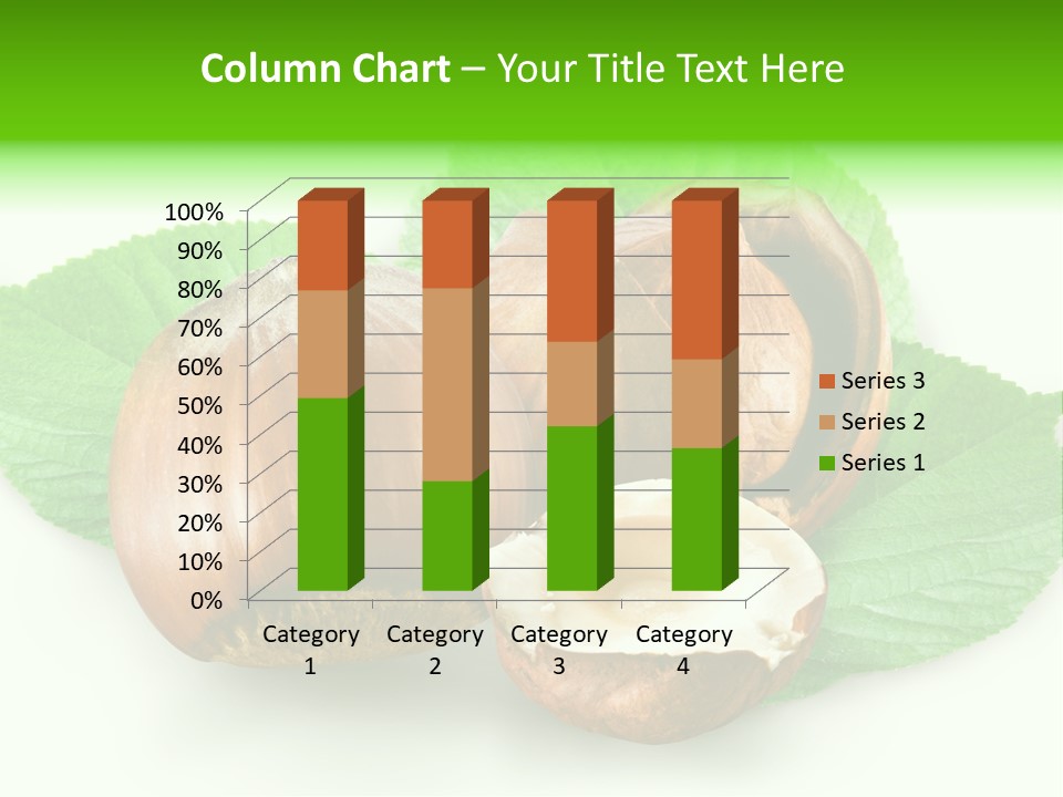 Shell Squirrel Background PowerPoint Template