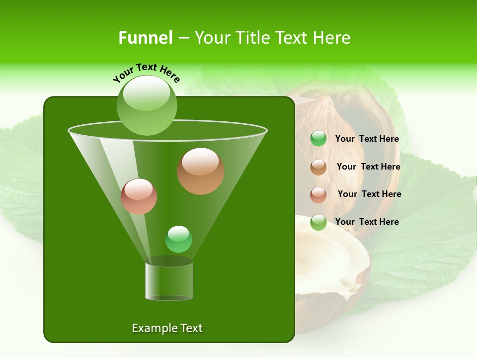 Shell Squirrel Background PowerPoint Template