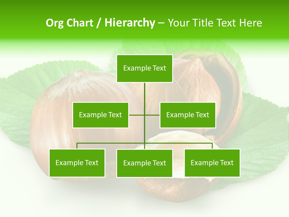 Shell Squirrel Background PowerPoint Template