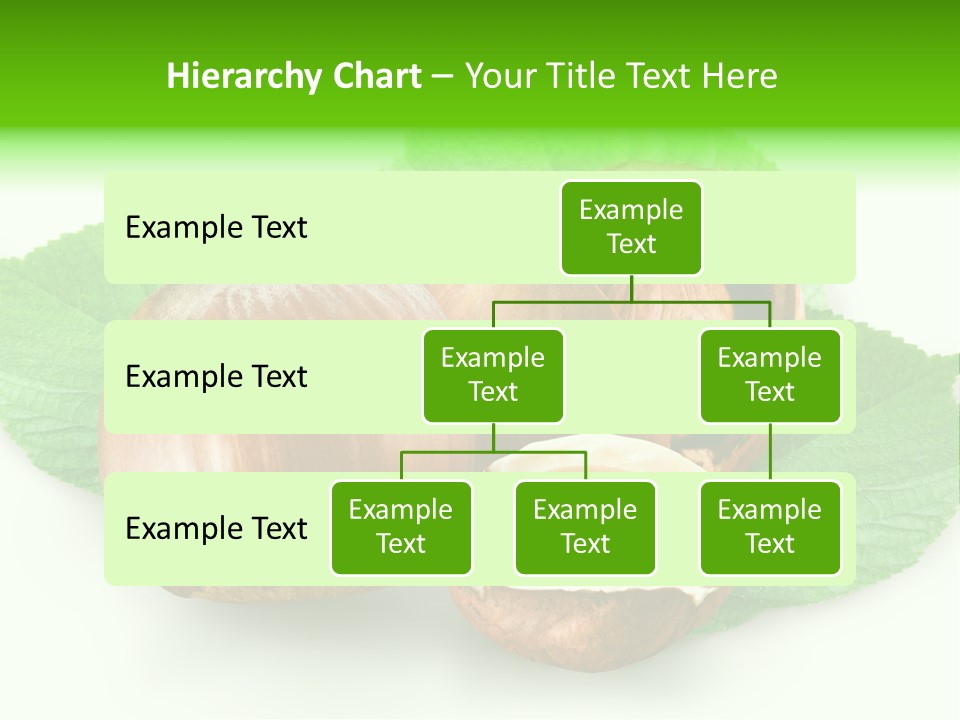 Shell Squirrel Background PowerPoint Template