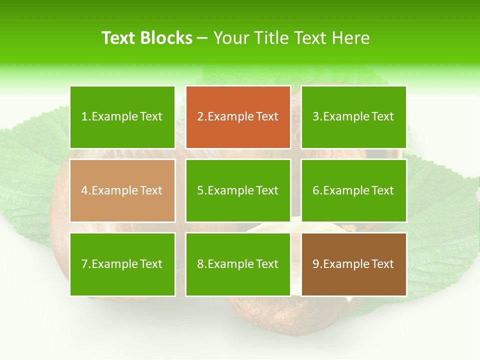 Shell Squirrel Background PowerPoint Template