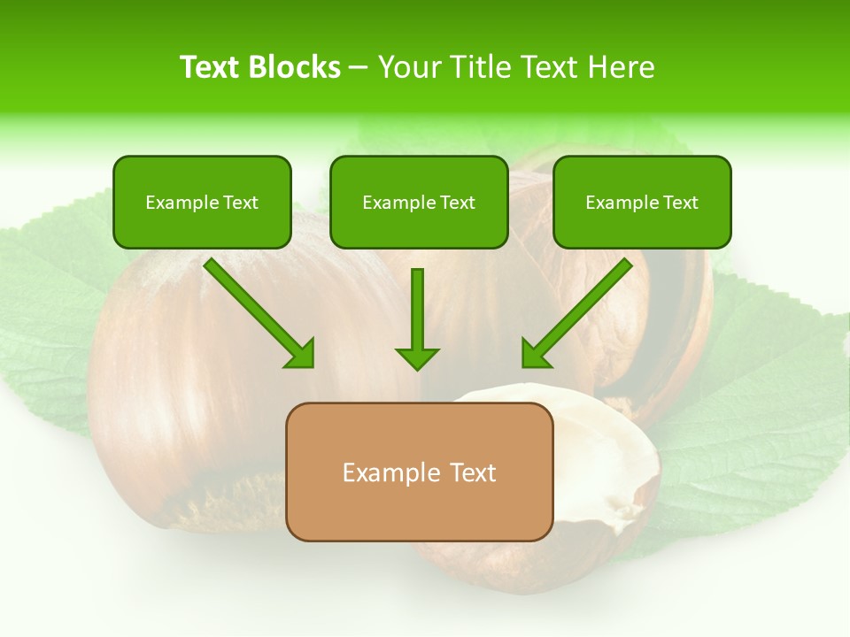 Shell Squirrel Background PowerPoint Template