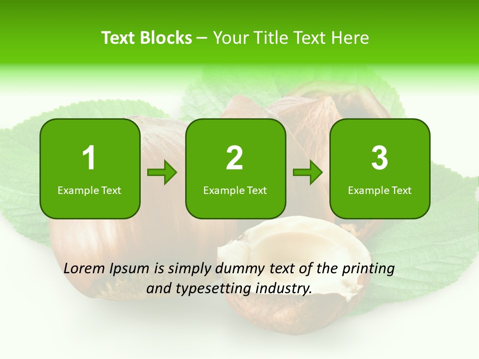 Shell Squirrel Background PowerPoint Template