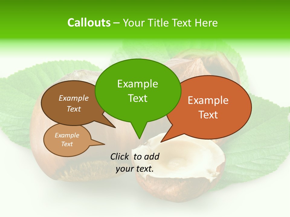 Shell Squirrel Background PowerPoint Template