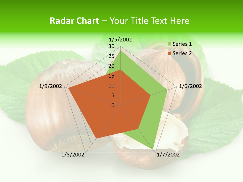 Shell Squirrel Background PowerPoint Template