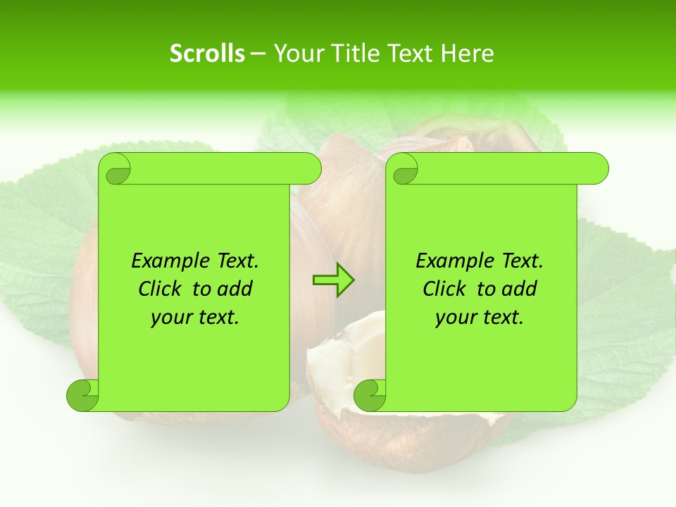 Shell Squirrel Background PowerPoint Template