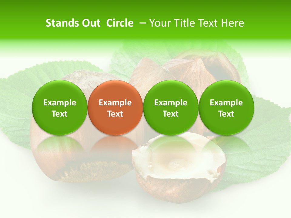 Shell Squirrel Background PowerPoint Template