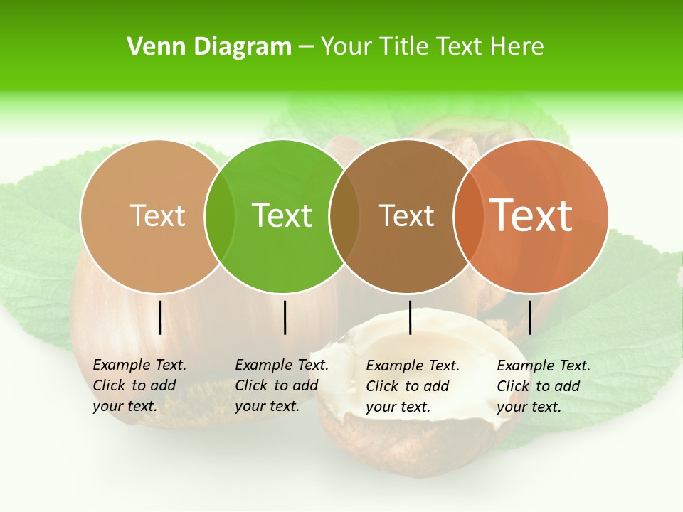 Shell Squirrel Background PowerPoint Template