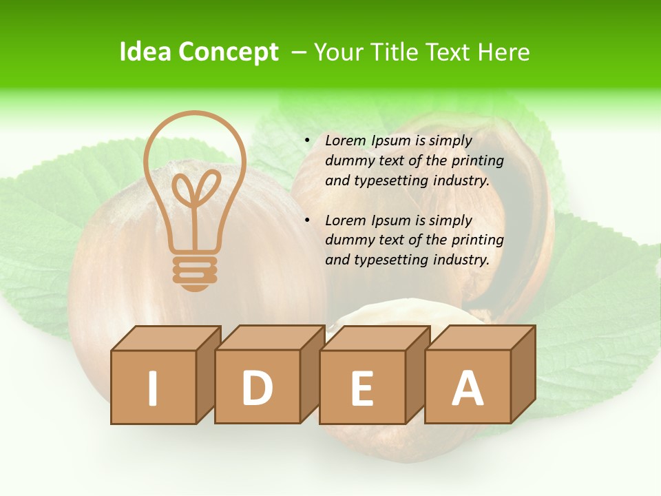 Shell Squirrel Background PowerPoint Template