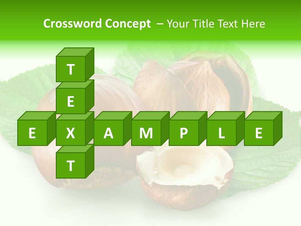 Shell Squirrel Background PowerPoint Template