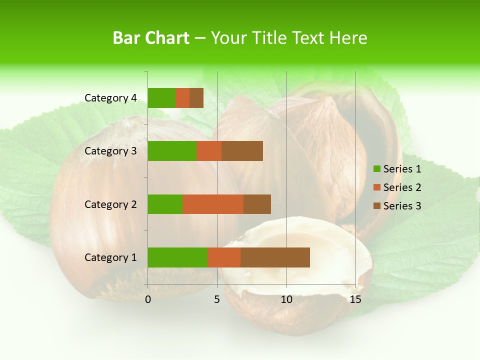 Shell Squirrel Background PowerPoint Template