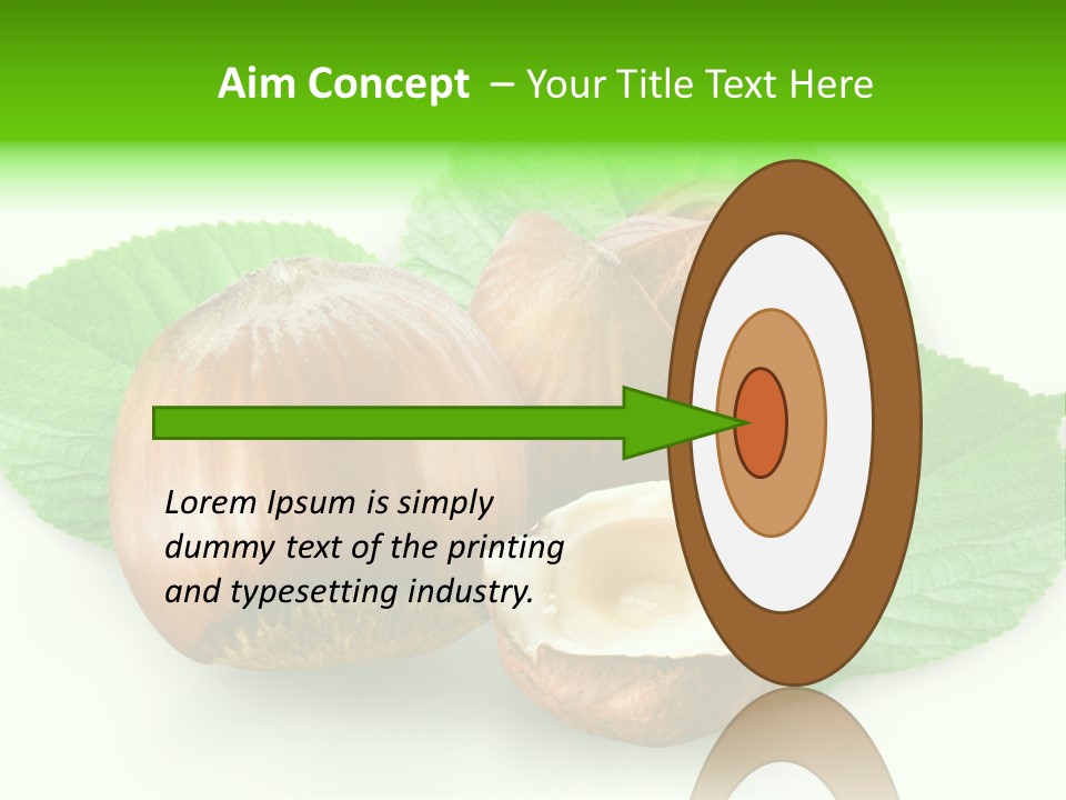 Shell Squirrel Background PowerPoint Template