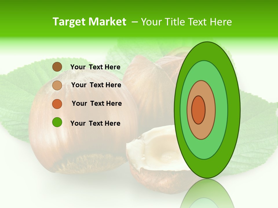 Shell Squirrel Background PowerPoint Template