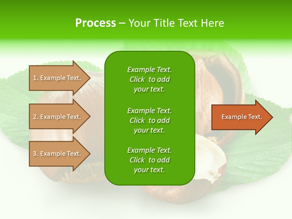 Shell Squirrel Background PowerPoint Template