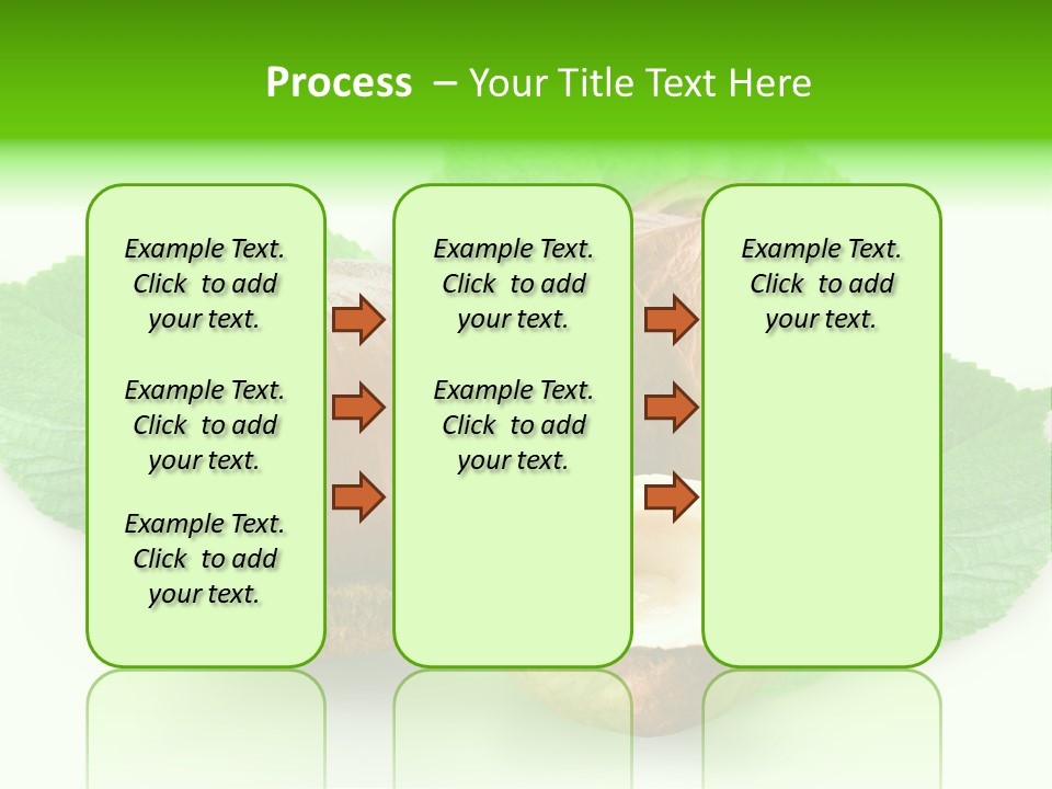 Shell Squirrel Background PowerPoint Template